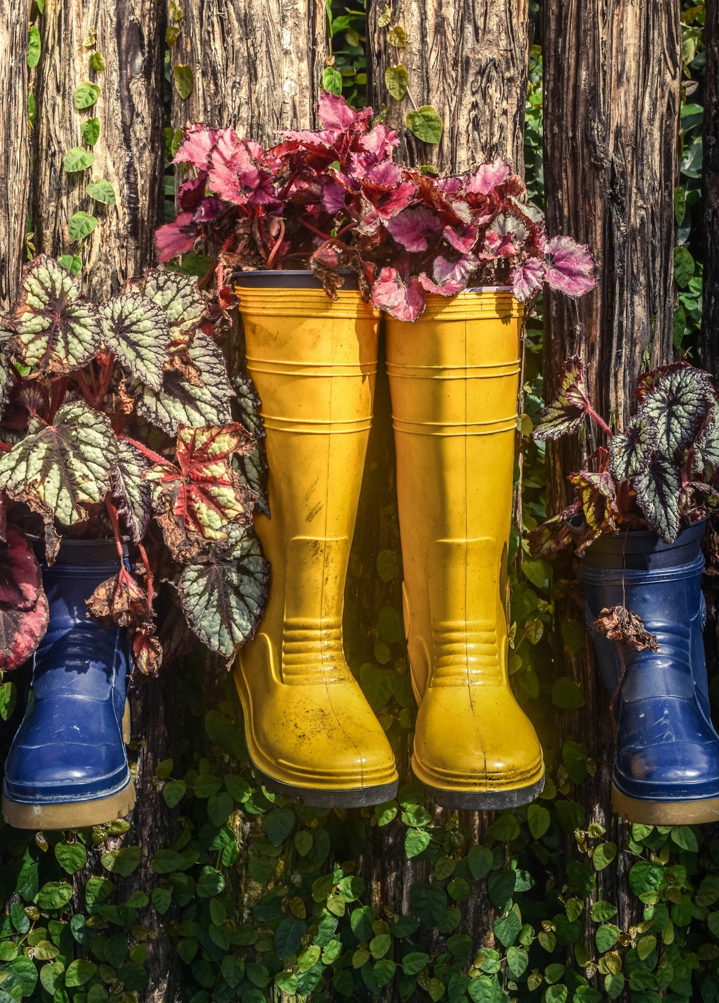 How to Incorporate Smart Tech into Your Garden