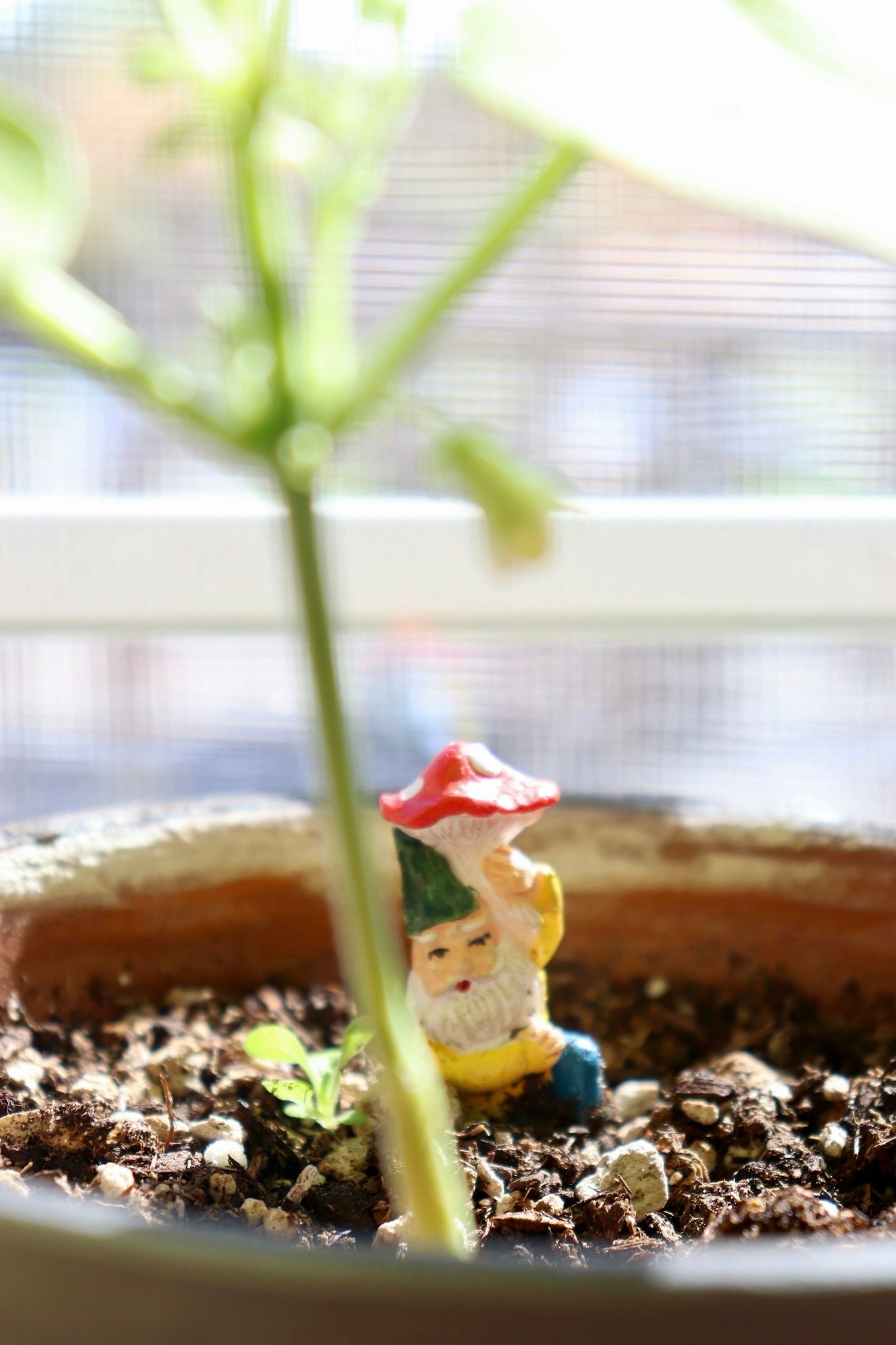 Top 10 Sustainable Gardening Practices for Beginners