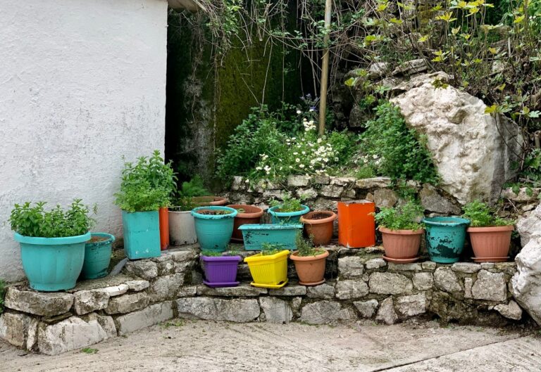 The Benefits of Smart Gardening for Your Health and Home