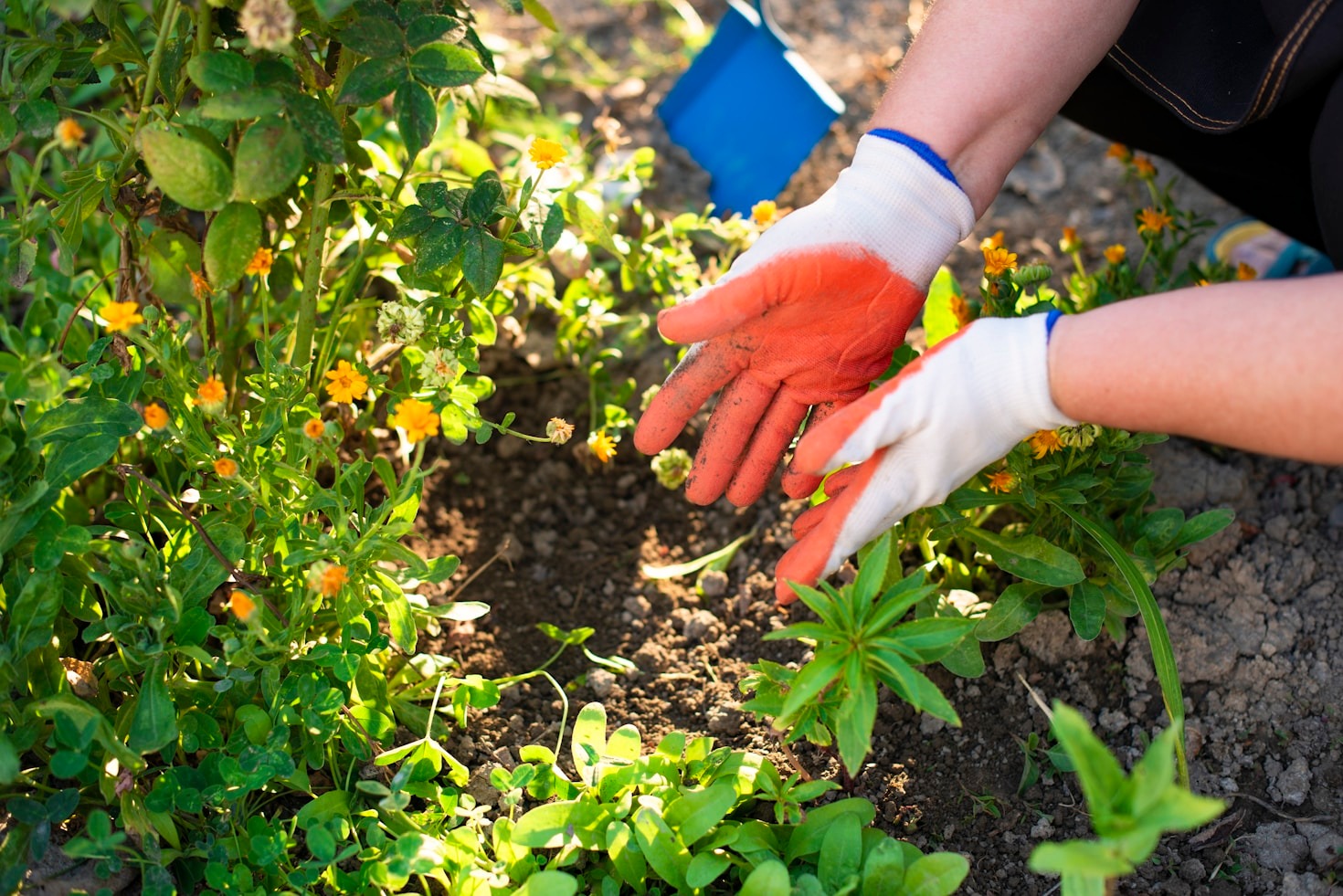 Innovative Tools Every Modern Gardener Should Know