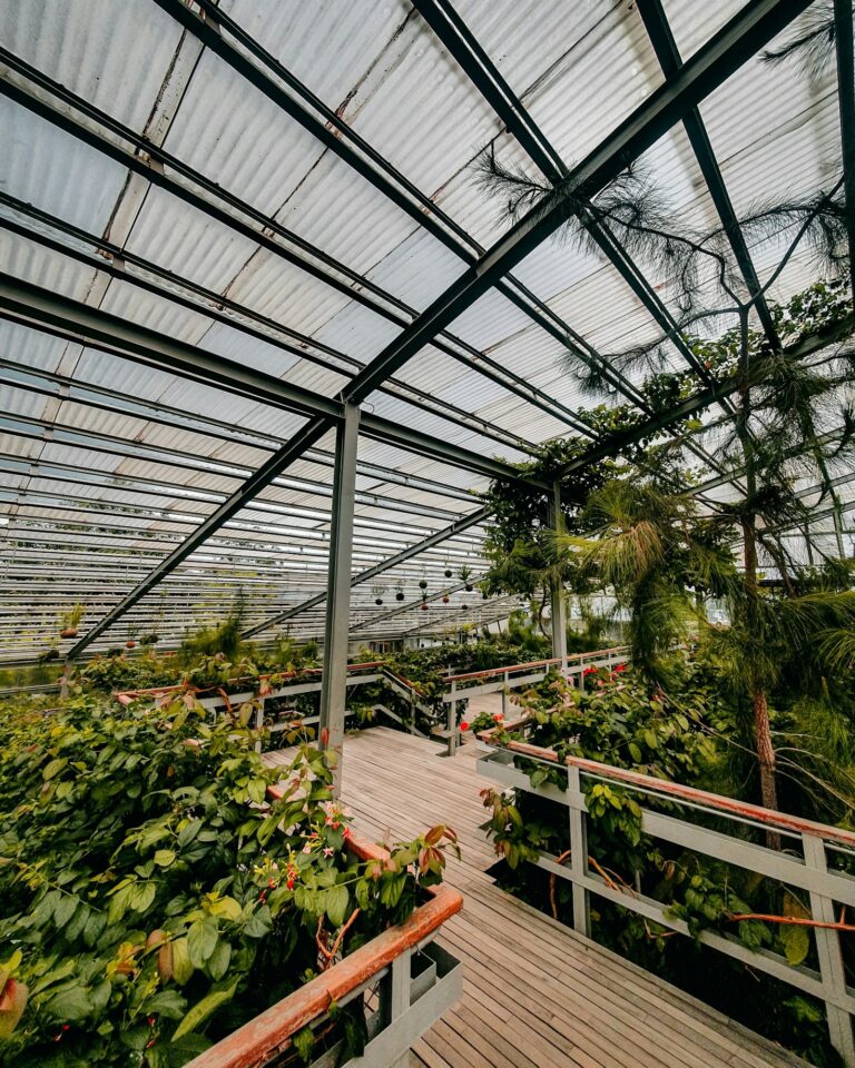 Transforming Small Spaces into Smart Garden Paradises