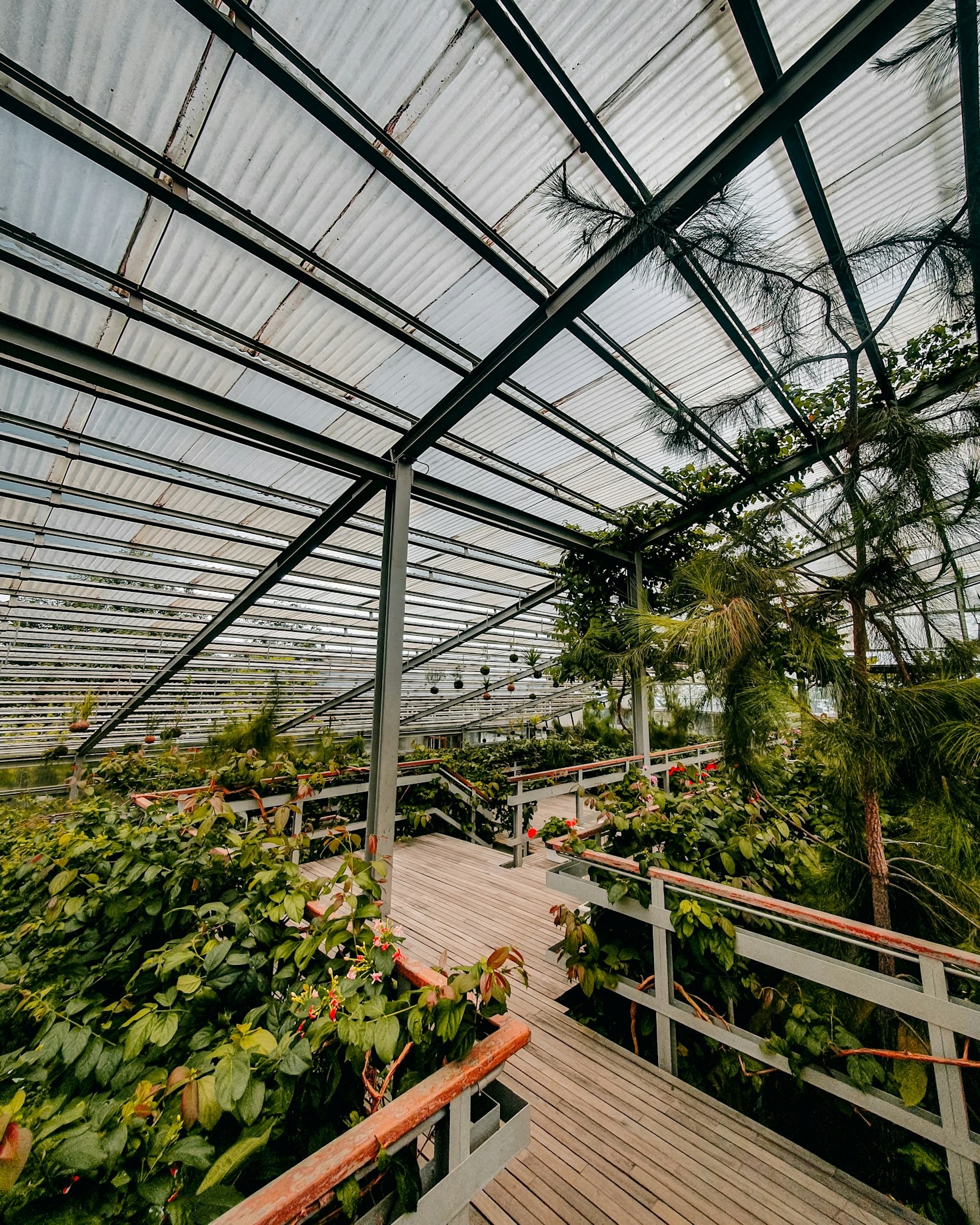 Transforming Small Spaces into Smart Garden Paradises