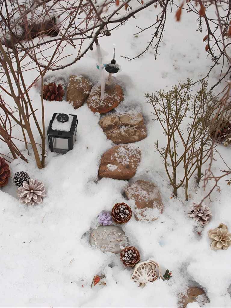 Build a Mini Snow Garden